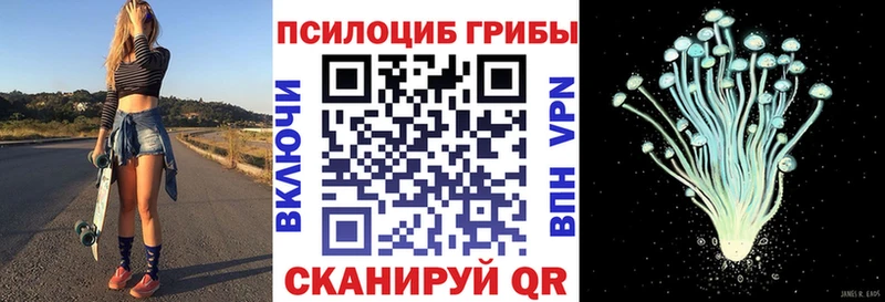 МЕГА рабочий сайт  Кузнецк  Галлюциногенные грибы Psilocybine cubensis  купить наркоту 