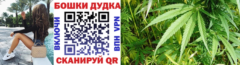 Канабис семена  Кузнецк 